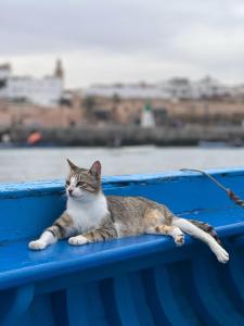 Mémoire des pierres, murmure des vagues