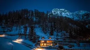 Chalet Snostorm - 布勒伊-切尔维尼亚