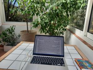 Tranquil, calm garden studio with spa pool