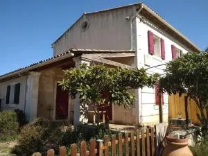 Les Néfliers - Maillane