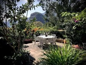 Grandma's house - lovely home, downtown - مالينالكو