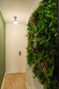 Appartements Jungle Room - Centre ville : photos des chambres