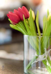 HG Hotel Il Settebello