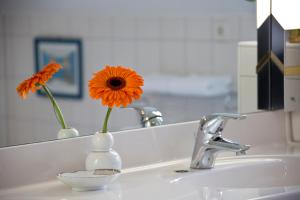 Superior Double Room room in Hotel Ingeborg