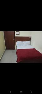 Hotel dolphin
