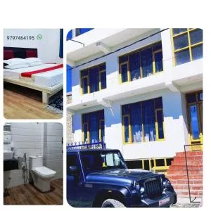 Lynx near Leh airport - Pituk