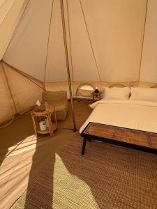 Tranquility Camp