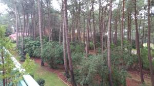 T2 32m2 terrasse 8m2 PISCINE LACANAU OCEAN LAC GOLF MULTISPORT