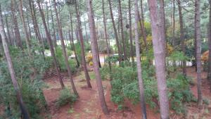 T2 32m2 terrasse 8m2 PISCINE LACANAU OCEAN LAC GOLF MULTISPORT