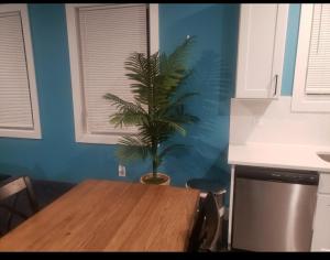 Comfy 3 bedroom house