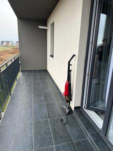 Affordable Cute & Comfy Flat