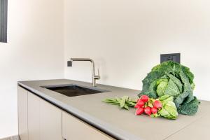 VILLA ULIVI by Curti affitti