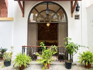 Amazing experience in Casco Viejo historical site 3