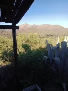 Casa Chakana - Cuchi Corral