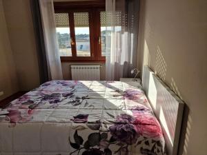 Appia Antica - Parco Acquedotti