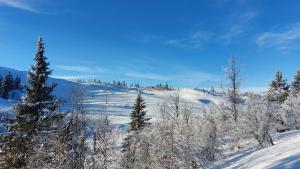 Tømmerhytte i Valdres med panoramautsikt over fjellene