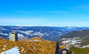 Tømmerhytte i Valdres med panoramautsikt over fjellene - Aurdal