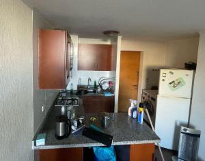 Departamento Centrico Concepción