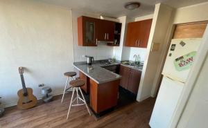 Departamento Centrico Concepción