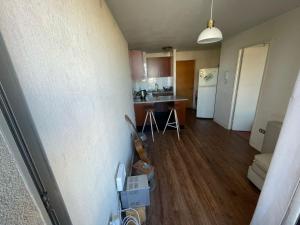 Departamento Centrico Concepción