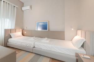 Downtown Tirana Apartment Delux Shallvaret