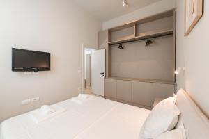 Downtown Tirana Apartment Delux Shallvaret