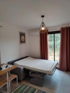 Studio - Un coin du sud