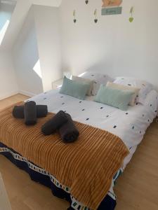 Country house with unfenced garden