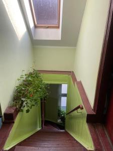 Apartament Ordona 9 - widok na jezioro i park