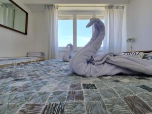 Miramar Todo el Año