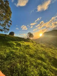 Mount Tatum - 皮萨拉