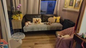 Maisons de vacances Petite maison 45 m2 avec terrasse sans vis a vis : photos des chambres