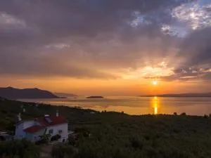 The House of the Rising Sun - Néos Pírgos