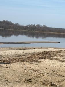 Saxeröd by the lake