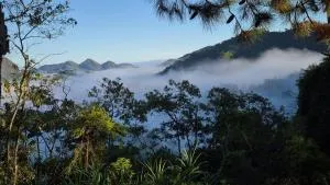 SÍTIO ALTO DA COLINA - Muri