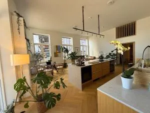 Bohemian luxury New York style apartment close to the beach and city - 豪富克