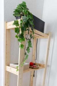 Super Accommodation la couronne Parking Centre Mulhouse