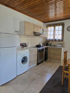 Antoneiko house