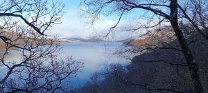 Red Deer Cottage at Fanans