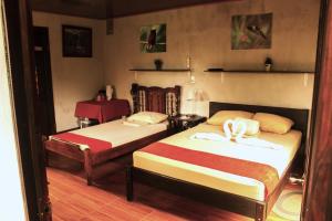 Cabañas Colibrí Tayutic