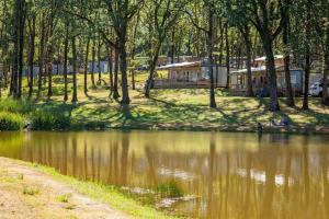 Maisons de vacances Camping Saint Avit Loisirs : photos des chambres