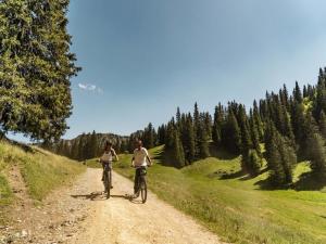 Apartment in Chatel with private terrace