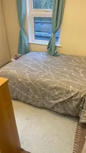 Small 1 bedroom Apartment near city centre - Booterstown