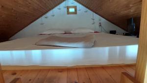 Seaside holiday house Sibenik - 23990