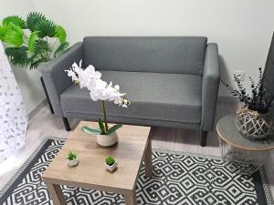 CHALET Cocon Paradis