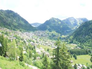 Apartment in Châtel near Ski Lifts & Views