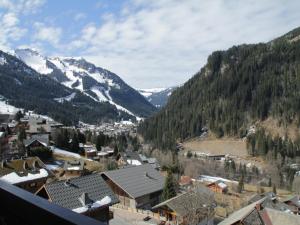 Appartements Duplex in Chatel near Cable Car & Valley Views : photos des chambres
