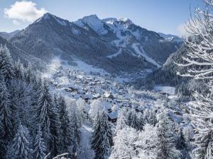 Apartment in Chatel near cable car