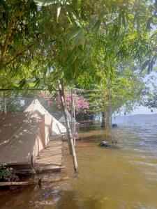 Meeto Camping Hồ Trị An