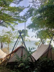 Meeto Camping Hồ Trị An